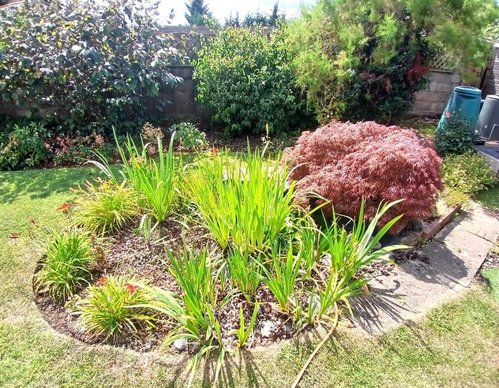 Garden 3 pond.jpg