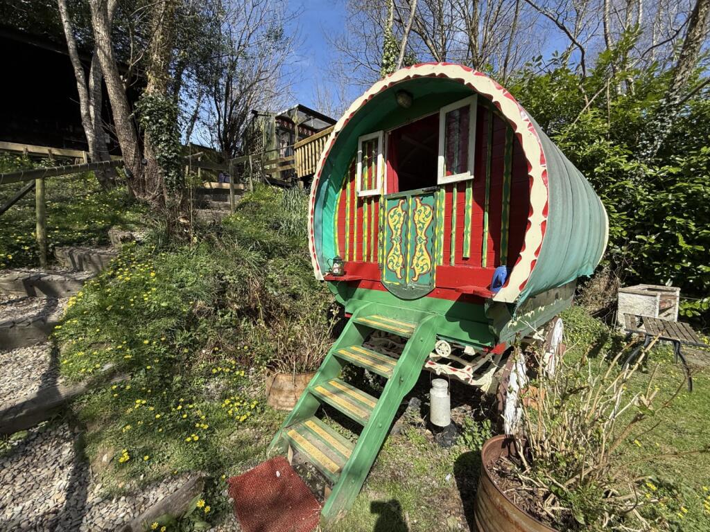 IMG 5414  Large  T202505021202.jpeg