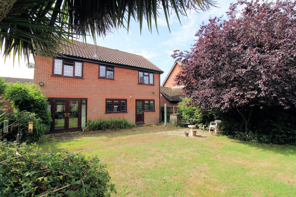 Rear of Property