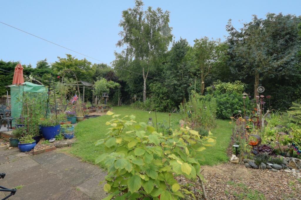 Back Garden