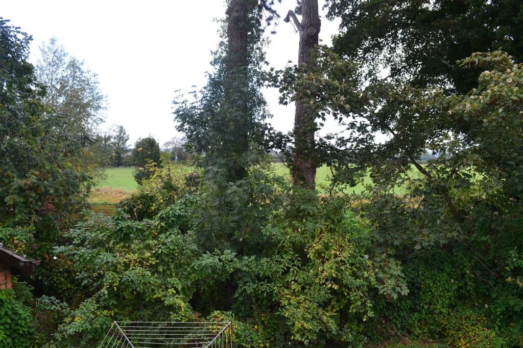 DSC_0012.JPG