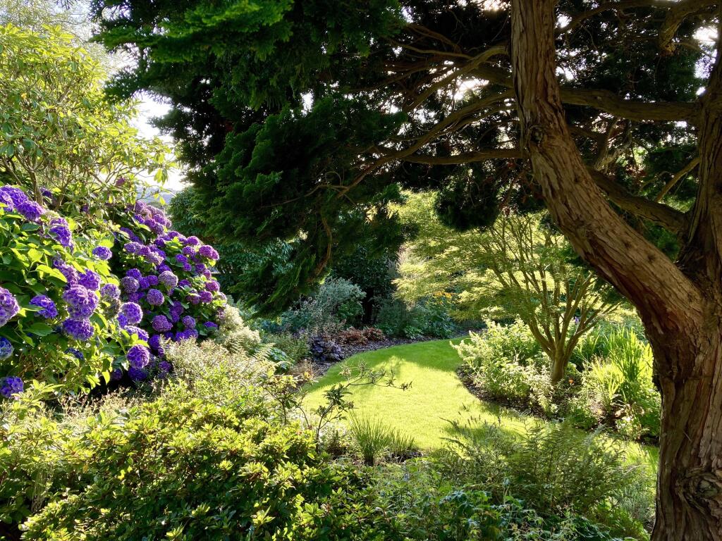 Front Garden (Vendors Photograph)