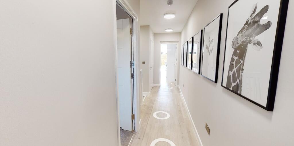 Screenshot 2025-03-0