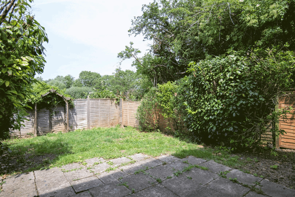 DSC_0641.gif