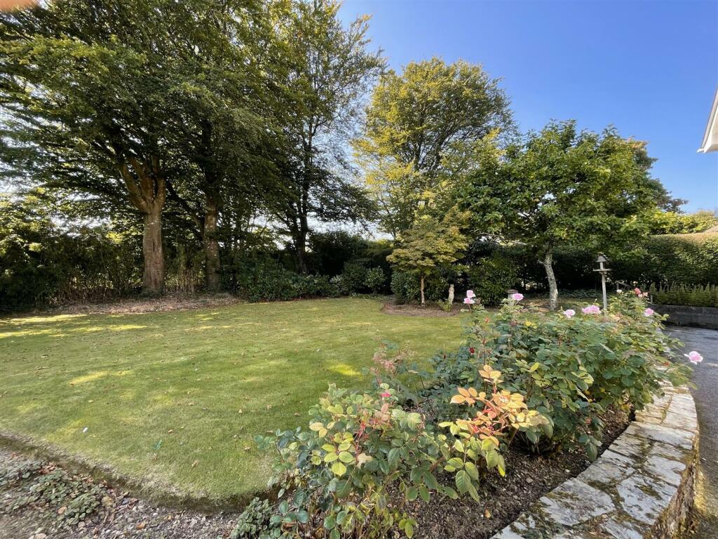 garden.jpg