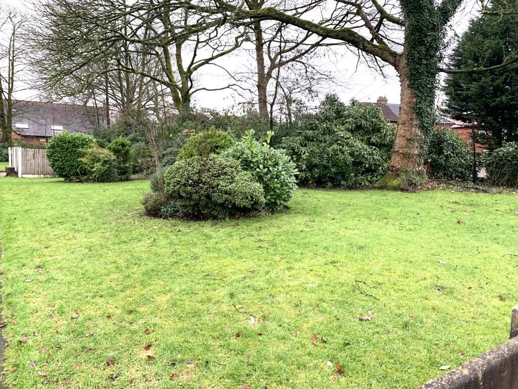 Comm Gdns T202601051615.jpeg