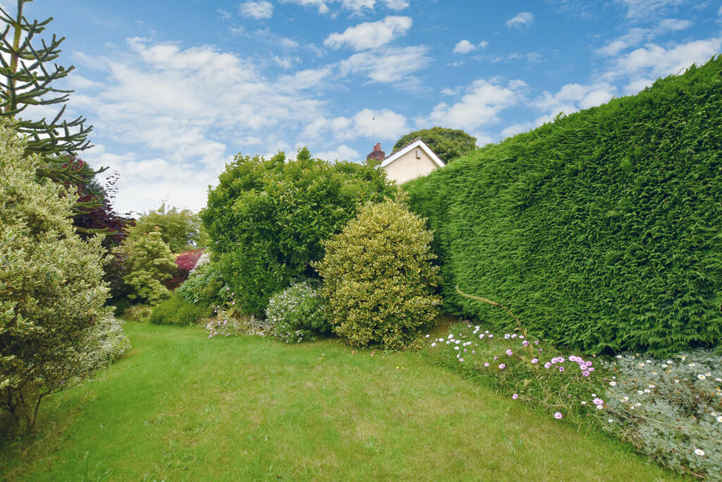 Garden 4