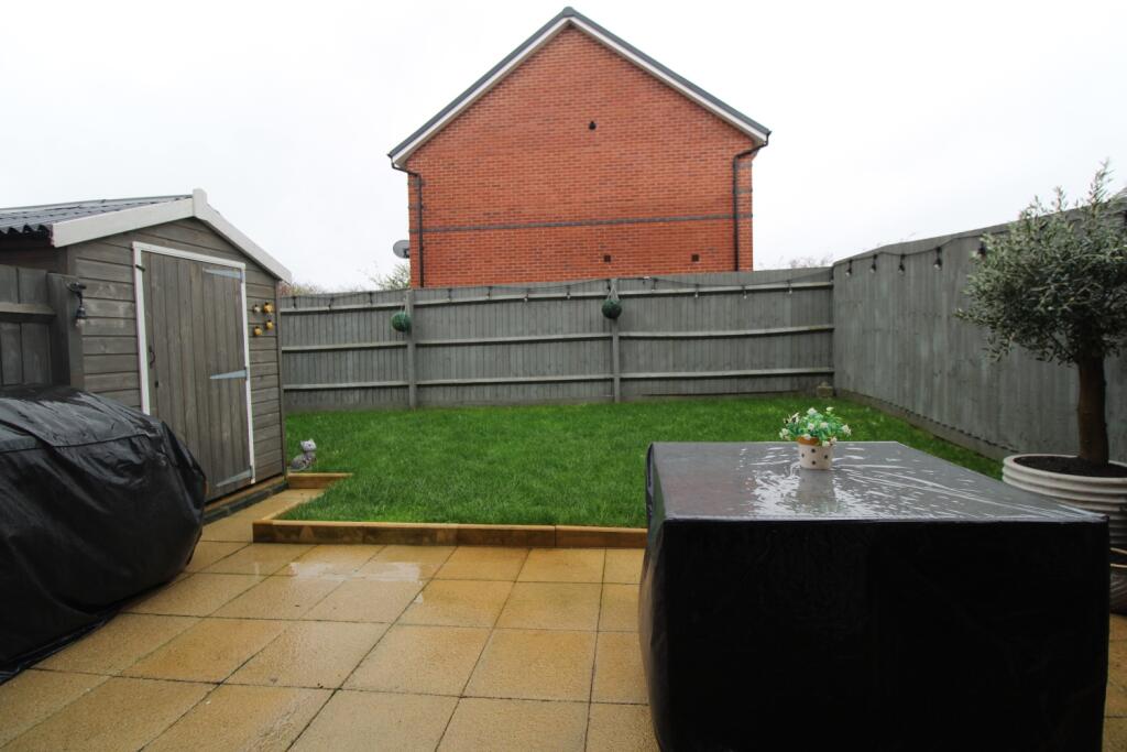 Back garden