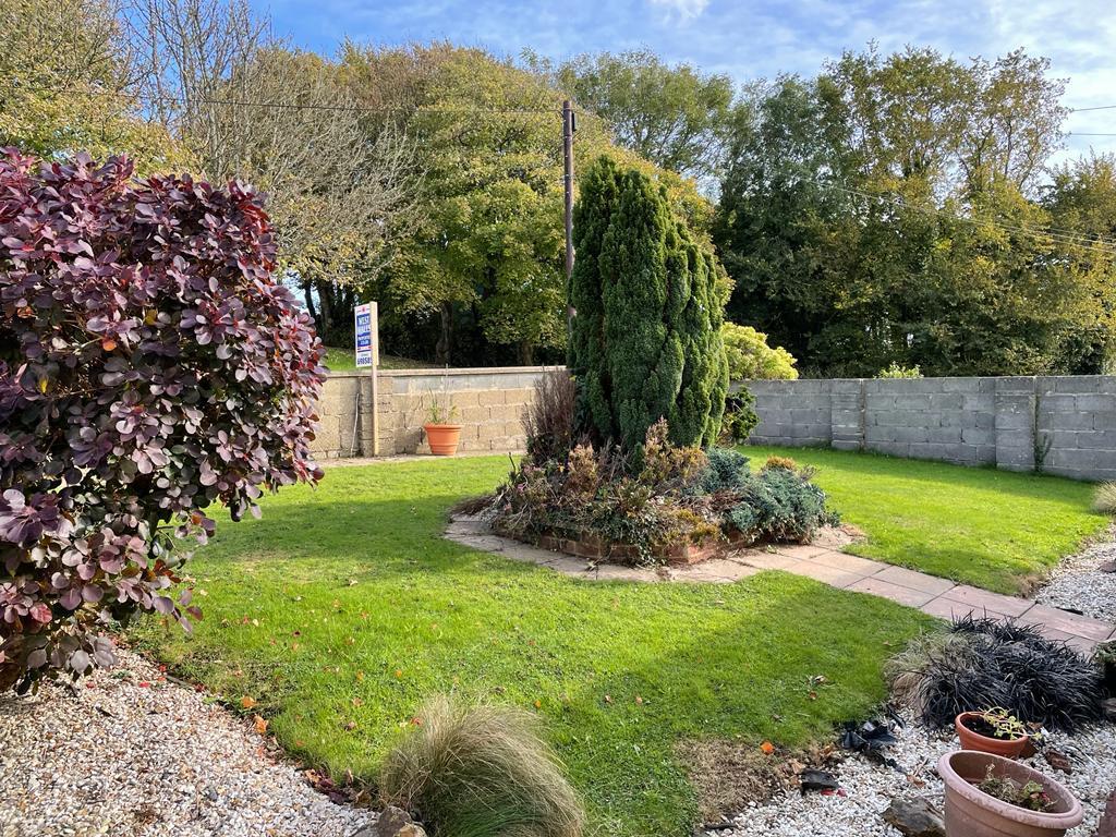 front garden..JPG