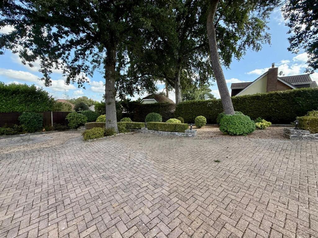 Garden 2.jpg