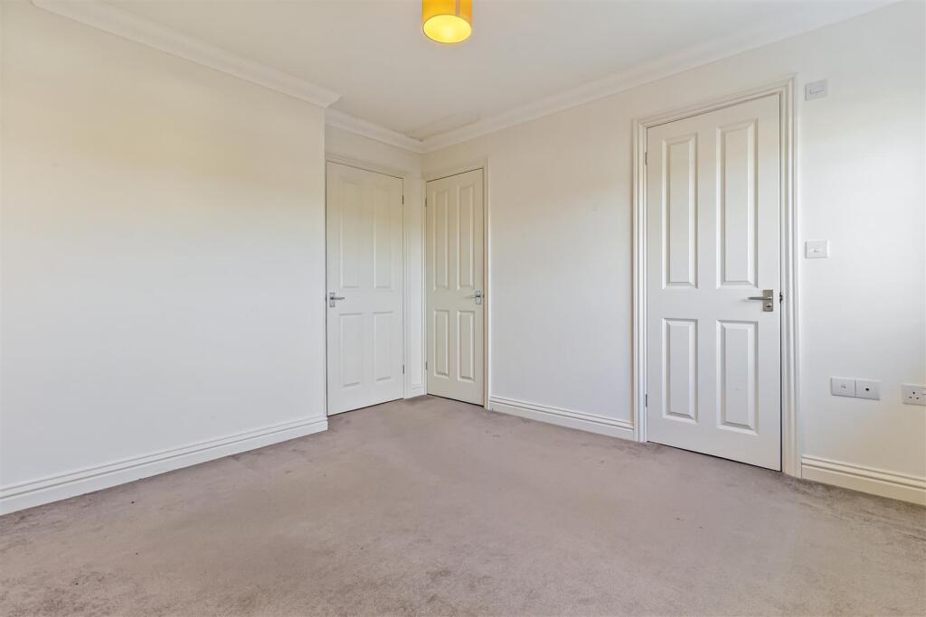 3 Hollyhocks-011.JPG