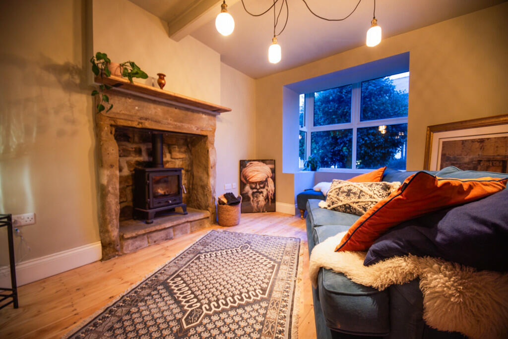 Ted &amp; Tortois...