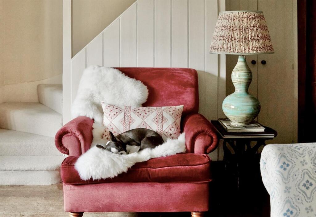 Chair_and_Dog_LOWRES_43 2.jpeg