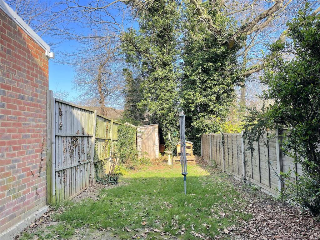 Garden (3).jpeg