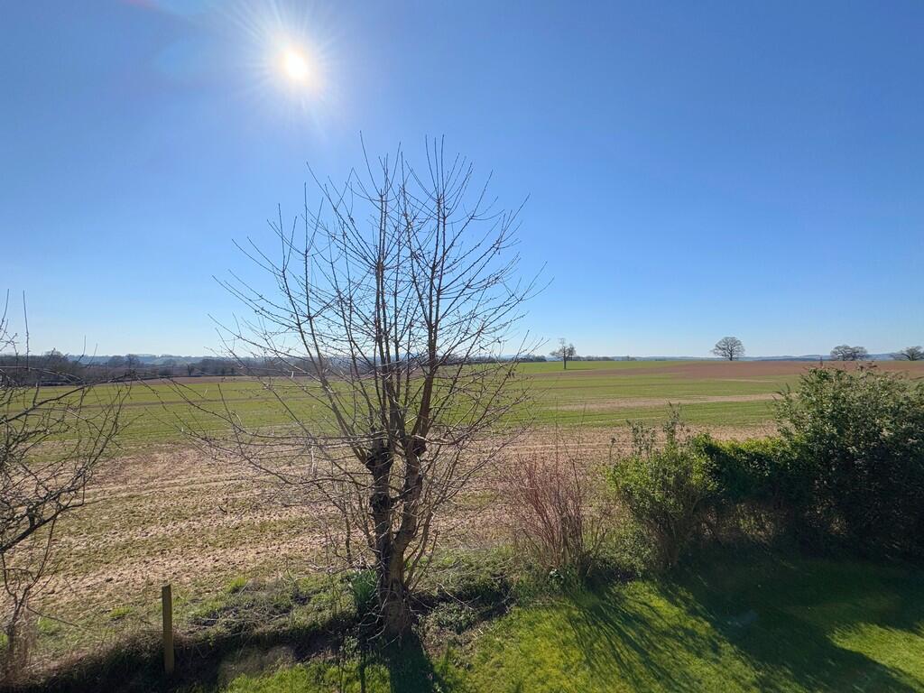 Views from Bedroo...