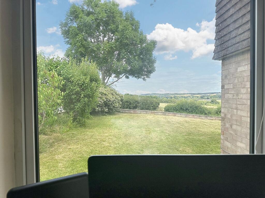 View from Office