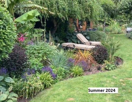 NEW V Garden 12