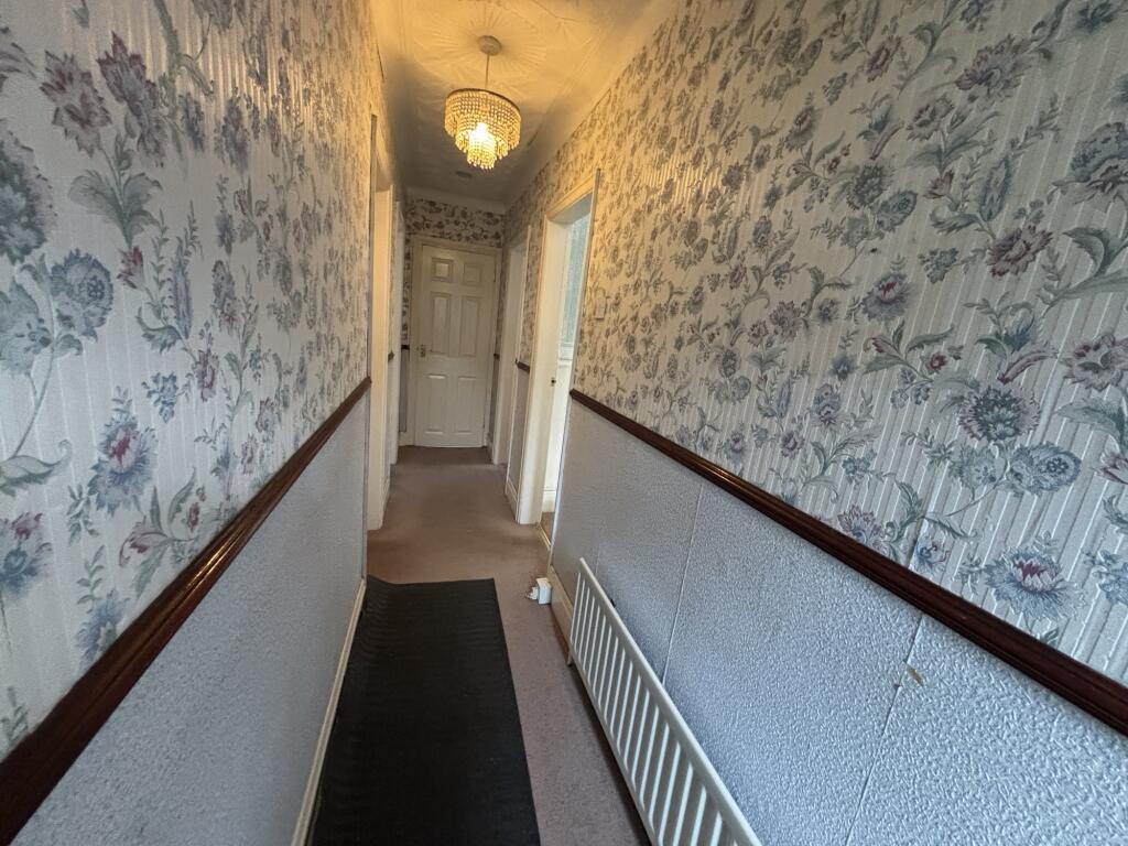 IMG 2977 T202510031302.jpeg