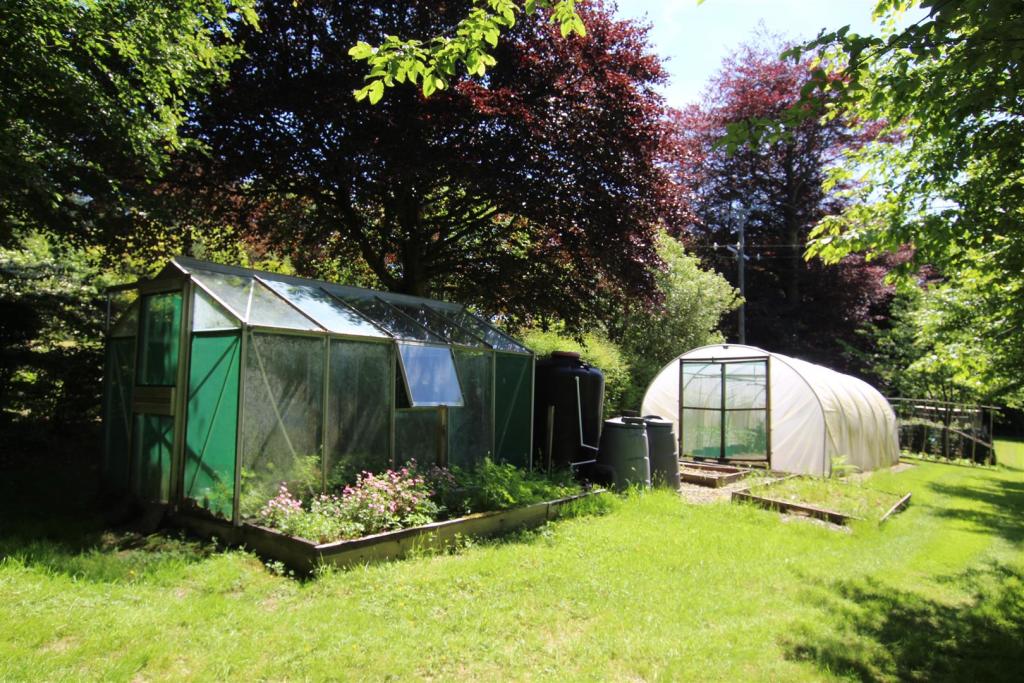 greenhouse poltunnel.JPG