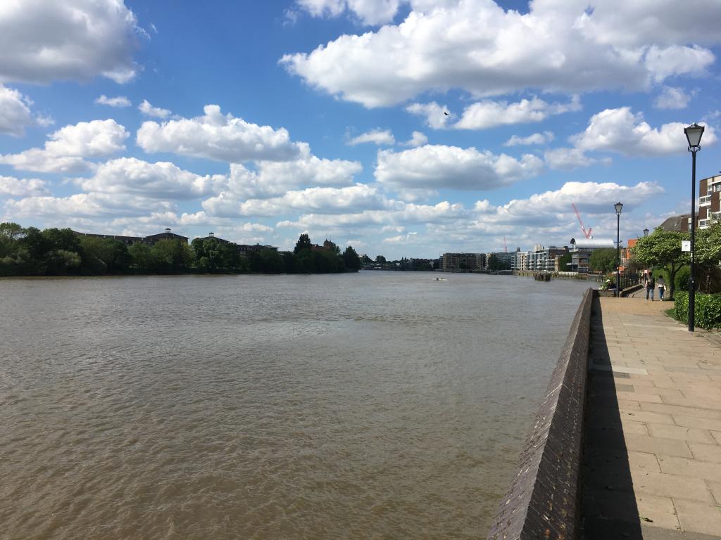 8 THAMES PATH.JPG