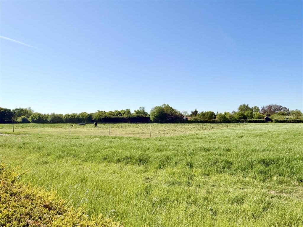 neighbouring paddock