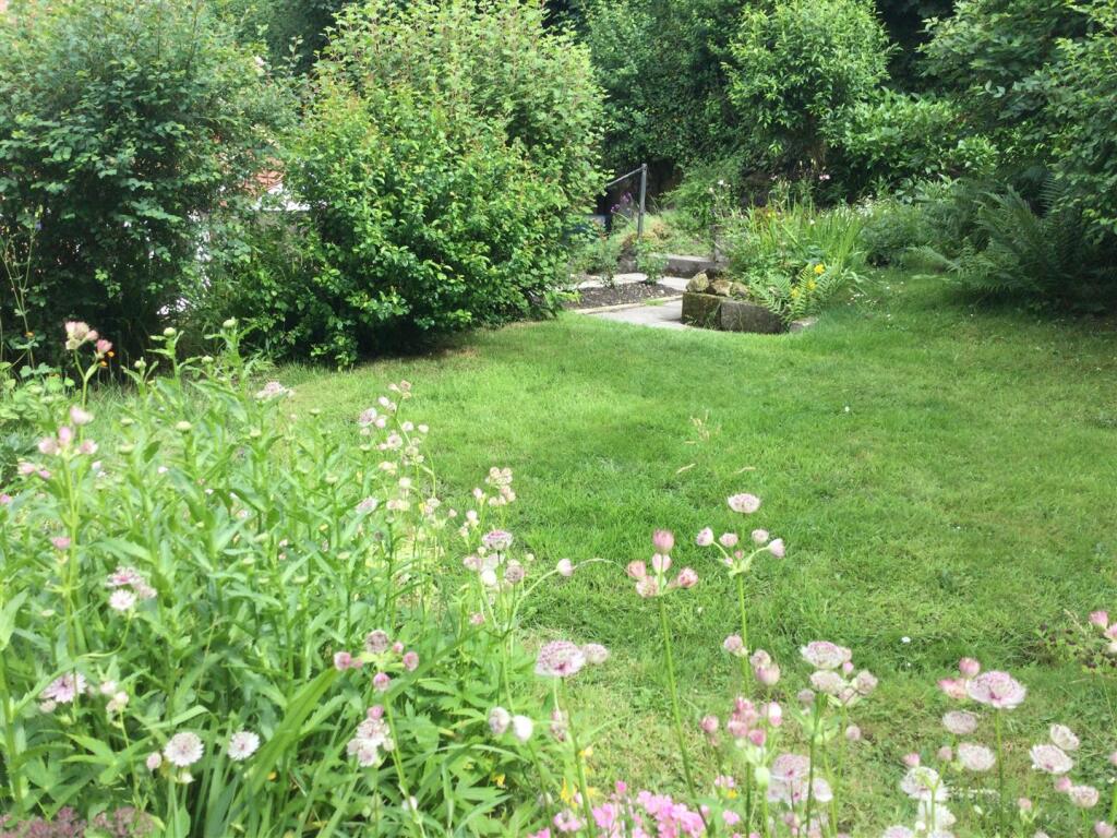 Garden 28-06-2021 (1) .JPG