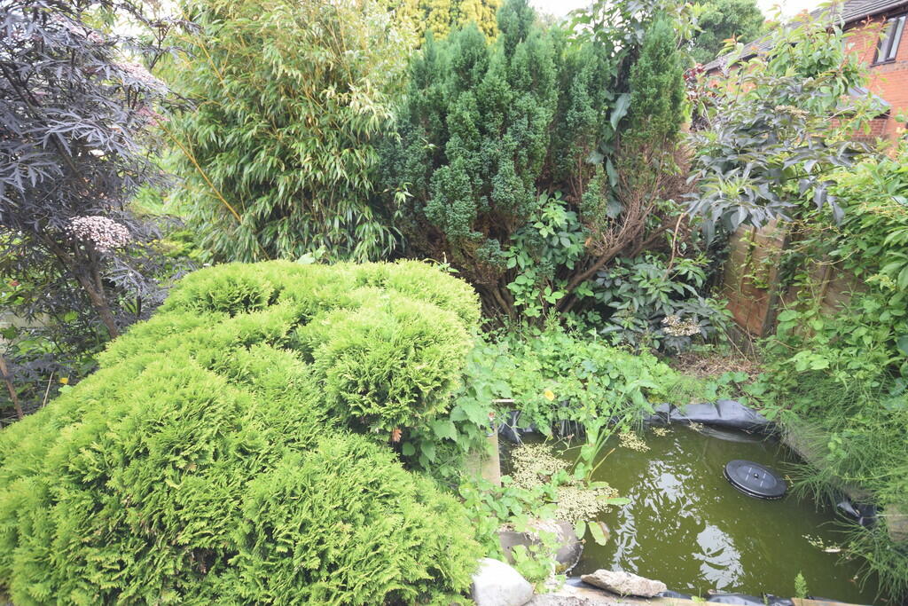 POND