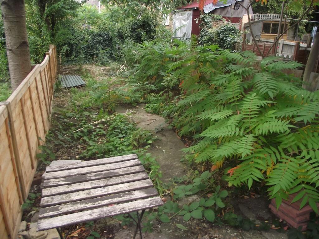 Photo 12