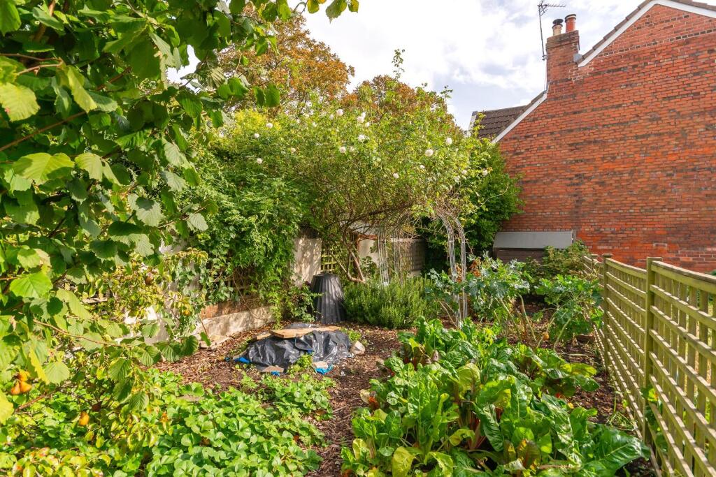 ECARRETTESREMOS5 - External G.jpg