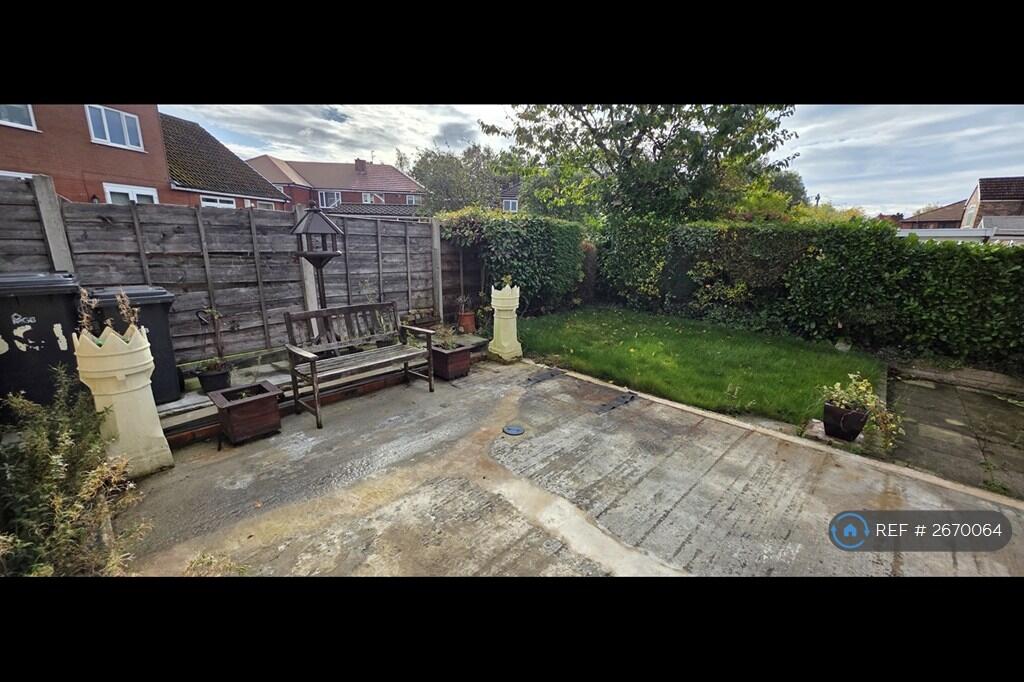 Back Garden