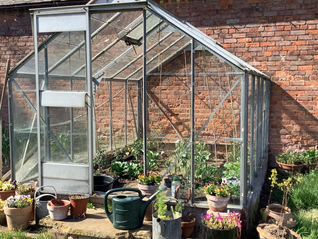 greenhouse 1.jpg