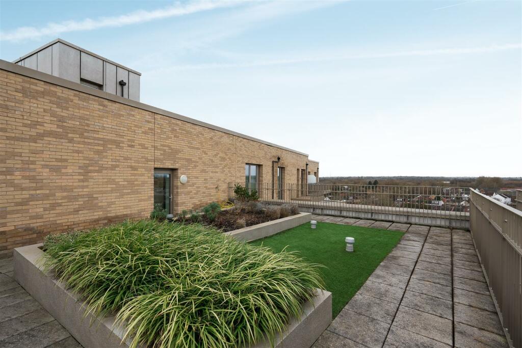 Communal Roof Terrace