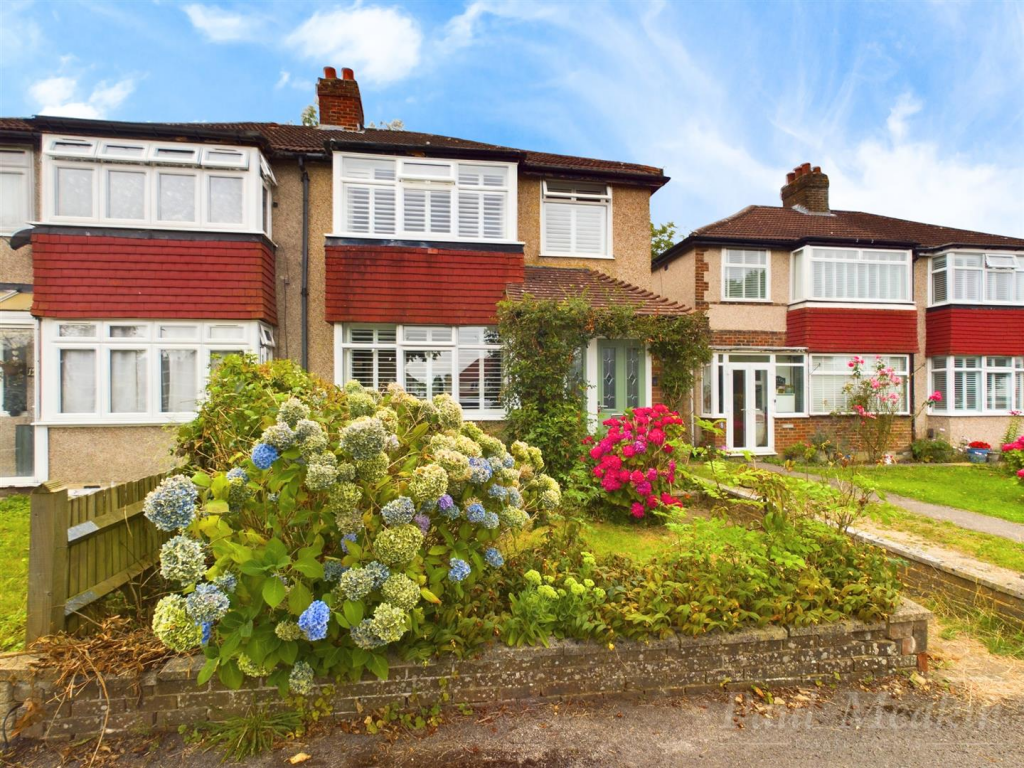 Hamsey Green Gardens