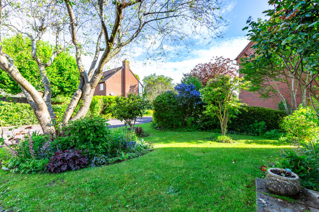 5F8A9430-Enhanced-NR