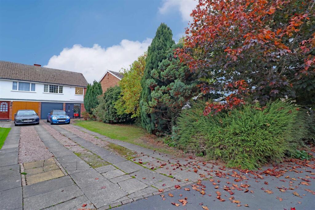 16 Vine front garden 2.jpg