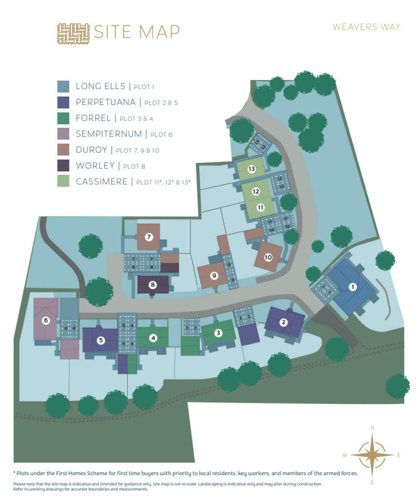 Development Layou...