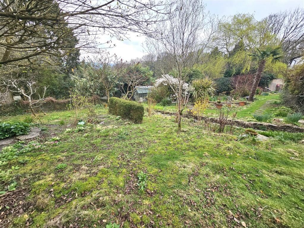 Garden 4.jpg