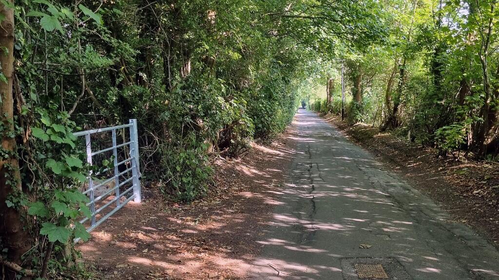 Road frontage.