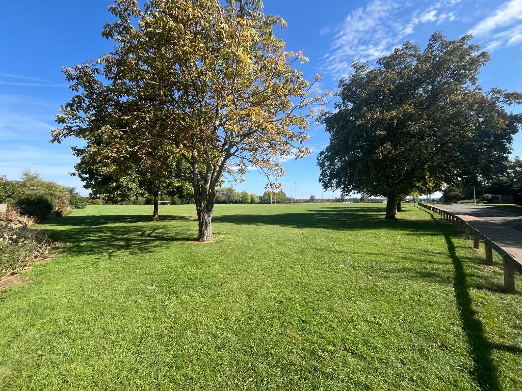 Field
