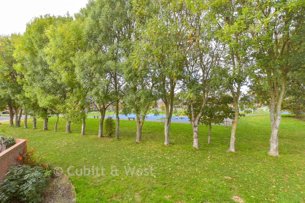 Surrounding Area