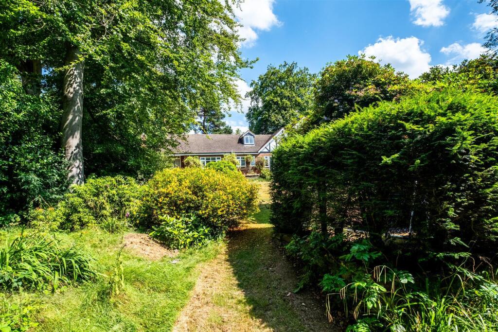 Full size-36 (Large).jpg