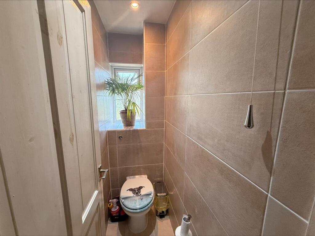 processed-62AE17CB-9BD2-4DD9-9567-4C6782613146.jpe