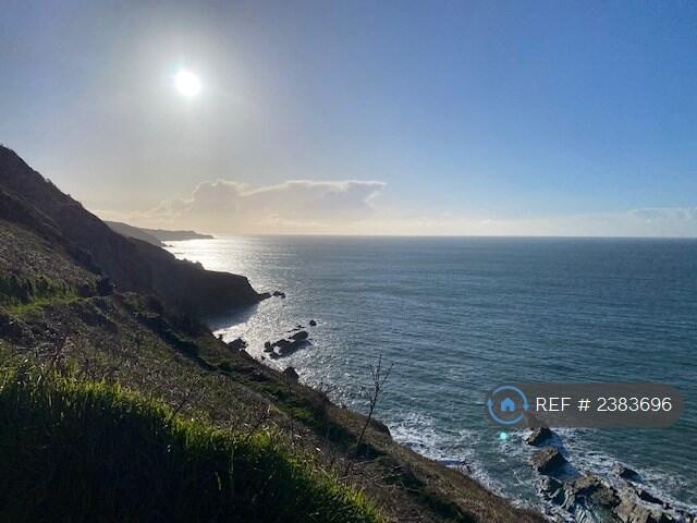 The Torrs Walk - Further Along The Sw Coast Path