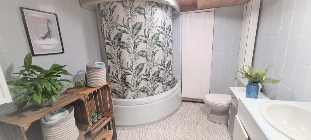 BASEMENT BATHROOM