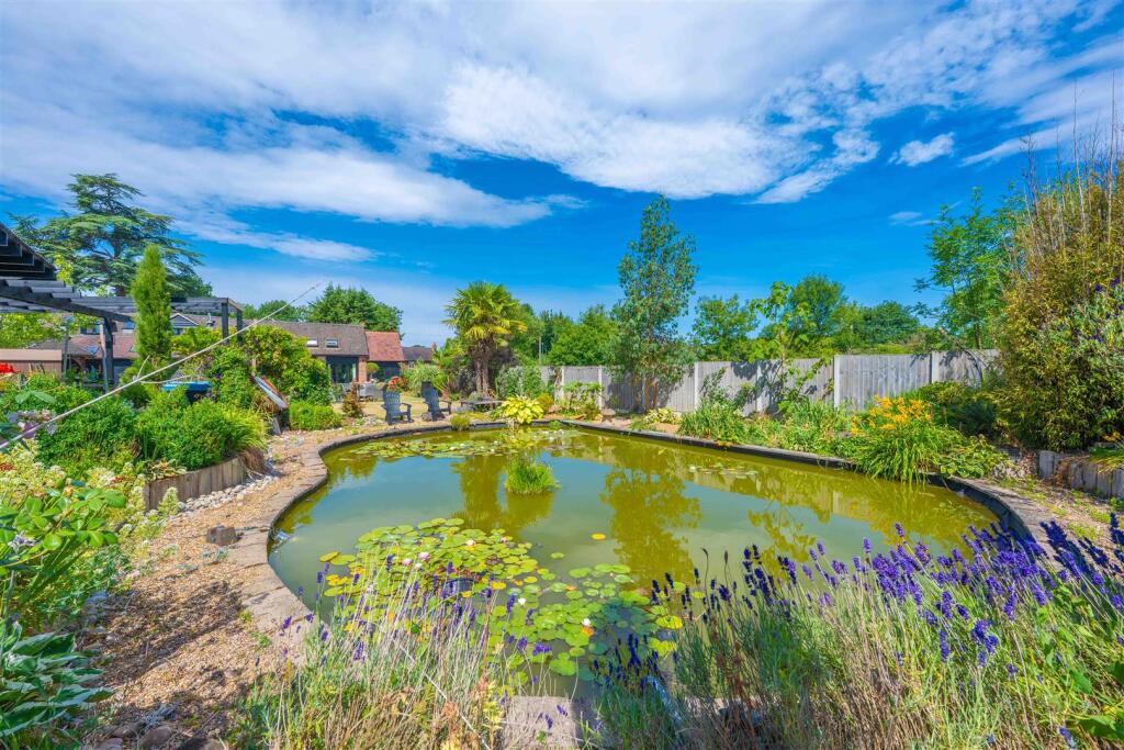 Pond