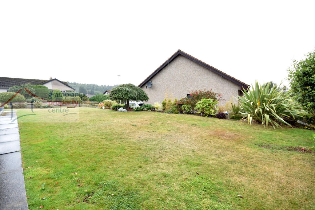 garden 3.JPG