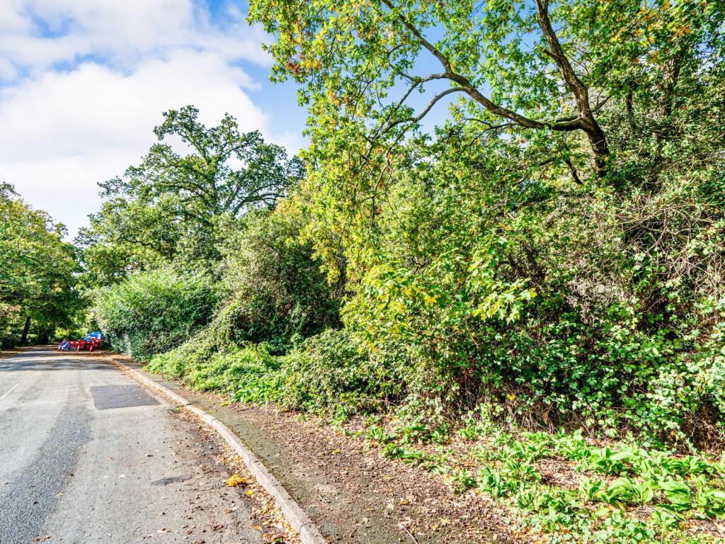 PHOTO-2025-10-05-12-12-56 T202510051931.jpg