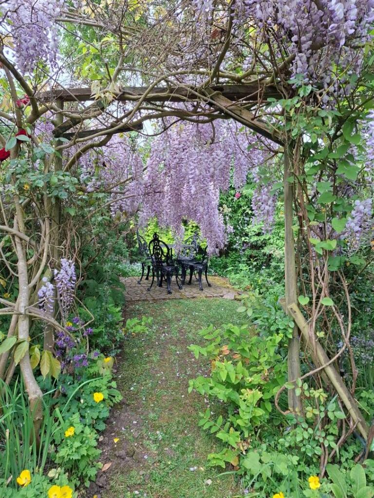 Garden Additional Photo's