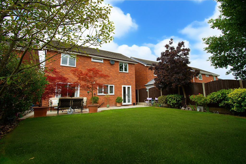 Untitled (5200 x 3900 px) (5200 x 3450 px) (6000 x