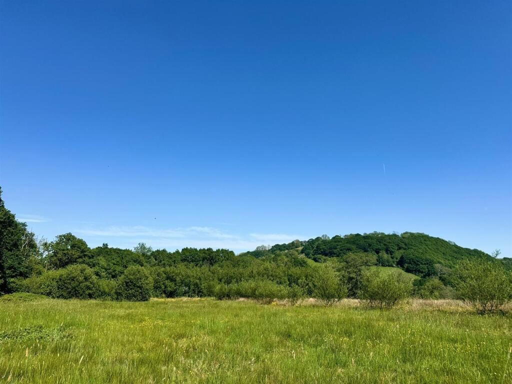 The Land